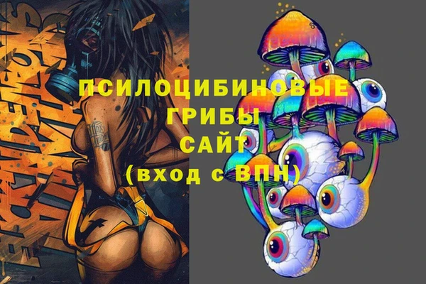 метамфетамин Белокуриха