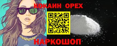 мдпв Бийск