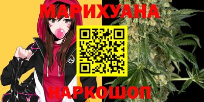 мдпв Бийск