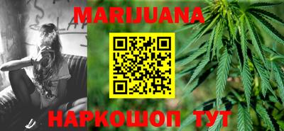 мдпв Бийск