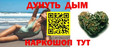 мдпв Бийск