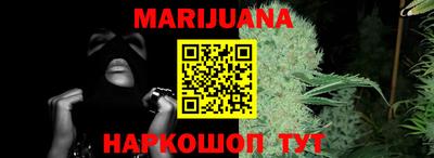 мдпв Бийск