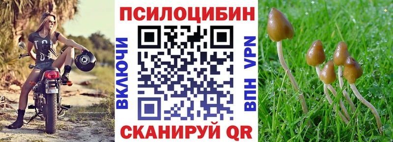 Галлюциногенные грибы Magic Shrooms  Гусев 