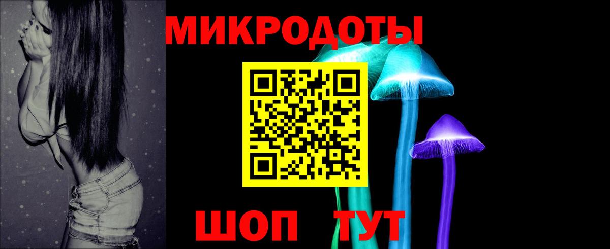 Псилоцибиновые грибы мицелий Гусев